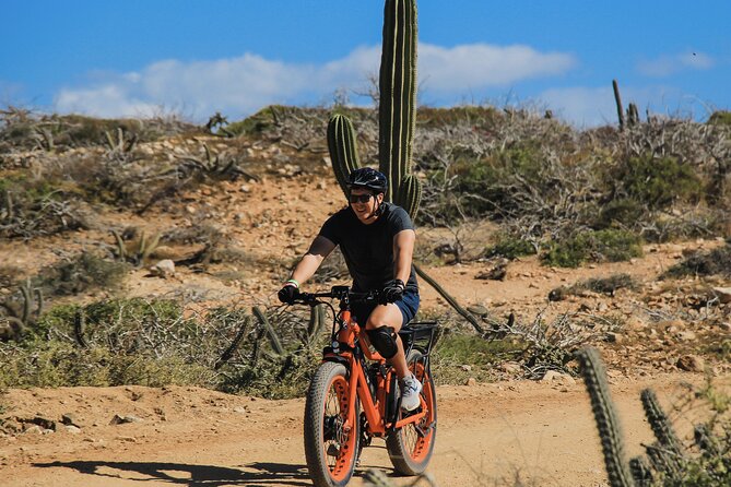 New Attraction: Guinness World Record Sky Bike in Los Cabos - The buffet, tequila museum, and extra activities