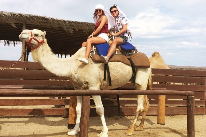 NEW! Combo Camel Beach Ride and UTV 4X4 Cabo Adventure, Tequila & - Key Points to Know Before You Go