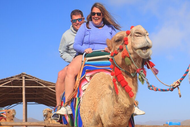 NEW! Combo Camel Beach Ride and UTV 4X4 Cabo Adventure, Tequila & - Choosing Between an ATV and a Double UTV