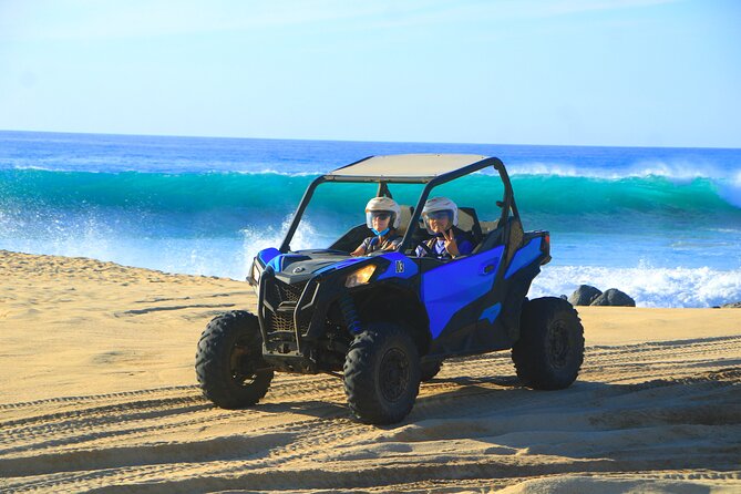 NEW! Combo Camel Beach Ride and UTV 4X4 Cabo Adventure, Tequila & - Who Will Enjoy This Outing Most
