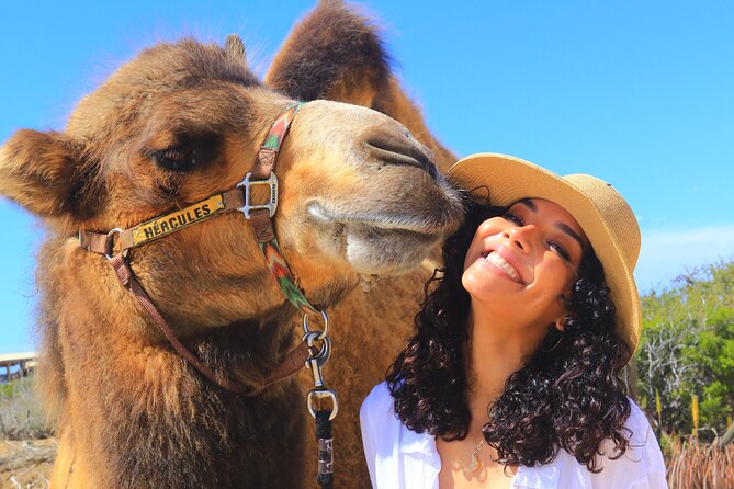 NEW! Combo Camel Beach Ride and UTV 4X4 Cabo Adventure, Tequila & - Cancellation and Booking Tips