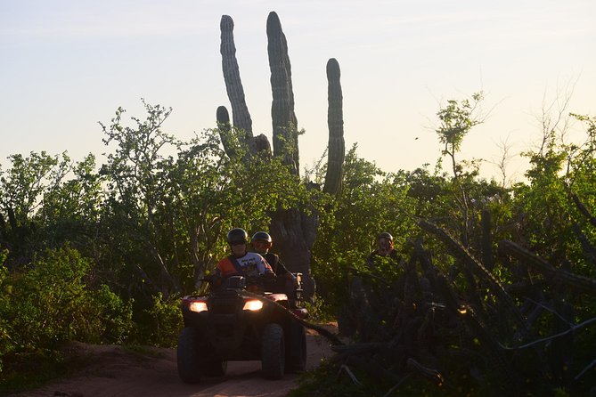 New!!! Extreme Beach & Desert Off-Road Atv Experience… - The beach run and the best views