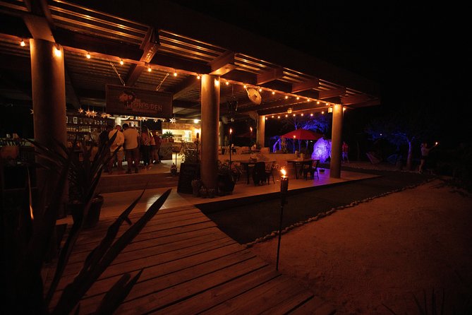 Night Ziplines & UTV Adventure + Mexican Parrillada - Rooftop Lions Den: tacos, drinks, and canyon lights