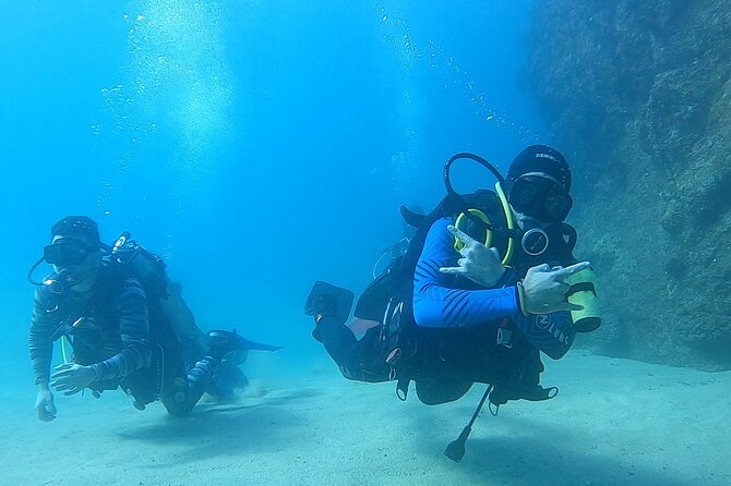 Non-Certified Diving Adventure in Cabo San Lucas - Key Things to Know Before You Book