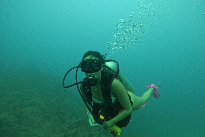 Non-Certified Diving Adventure in Cabo San Lucas - The Underwater Time: Rays, Reef Fish, and Sea Lions