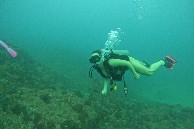 Non-Certified Diving Adventure in Cabo San Lucas - From the Water to El Arco