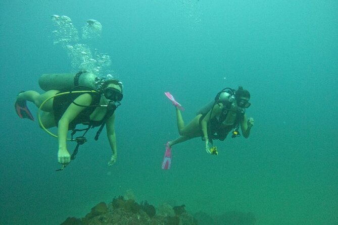 Non-Certified Diving Adventure in Cabo San Lucas - Who Should Book This Cabo Outing?