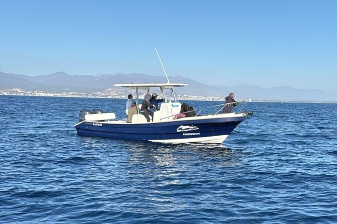 Ocean Safari in San Jose del Cabo - Searching for dolphins, rays, and whales