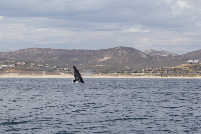 Ocean Safari in San Jose del Cabo - Lunch, cold water, and the practical comforts