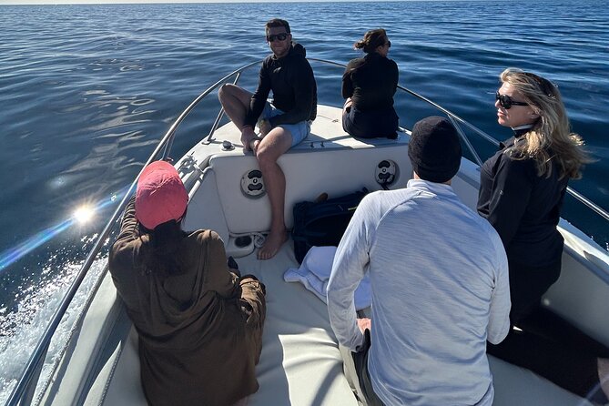 Ocean Safari in San Jose del Cabo - Who will enjoy this ocean safari most