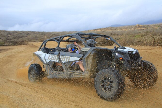 Off-Road Cabo Adventure: Beach and Desert Ride, Tequila Tasting - What the $99.74 price really covers