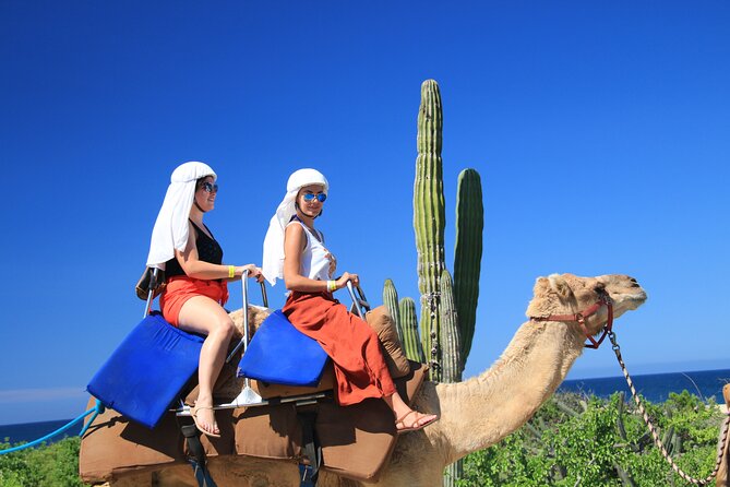 Outback Camel Ride - Arriving at Tierra Sagrada near Playa Migrino