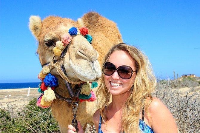 Outback Camel Ride - Riding across the Baja desert