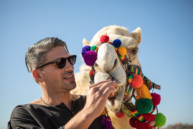 Outback Camel Ride - A guided nature walk through the ranch