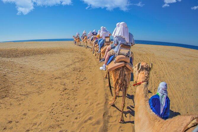 Outback Camel Ride - Tortillas, cacao, recycling, and farm activities