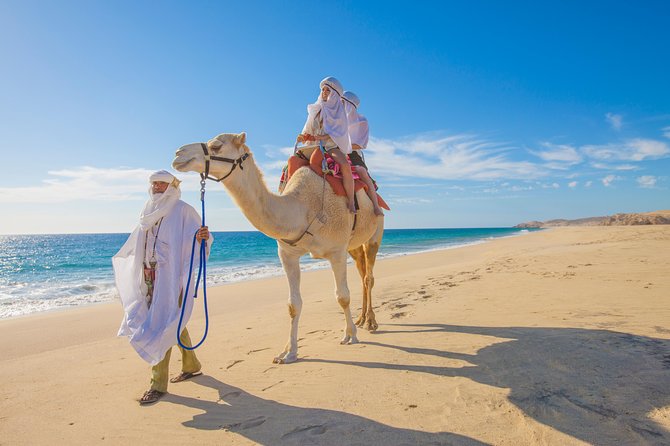 Outback Camel Ride - Why the timing deserves special attention