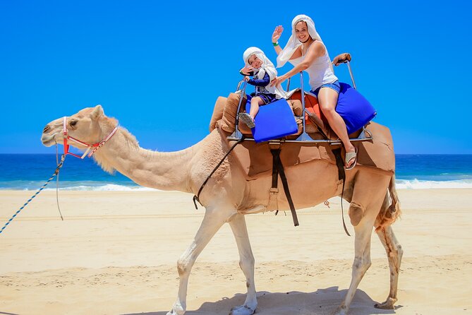 Outback Camel Ride - Meeting the camels and getting ready to ride