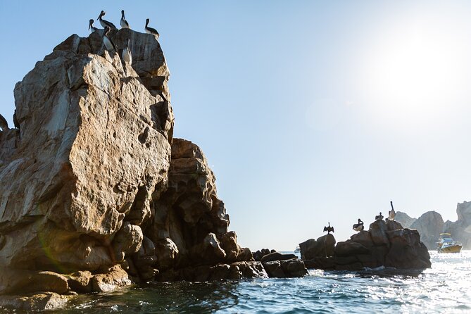 Paddleboard Expedition to the Arch of Cabo San Lucas, Lovers Beach & Snorkel - Who will get the most from this Cabo outing?