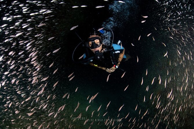 PADI Open Water Course in Cabo San Lucas - Key points to know before booking