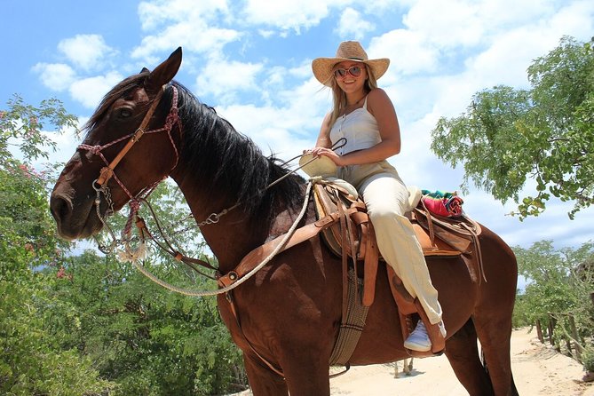 Park Pass at Wild Canyon One Place, Many Adventures - Camel rides and horseback riding