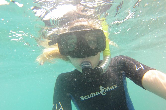 Pelican Rock Snorkeling and Sightseeing Adventure - Price, timing, and the real value