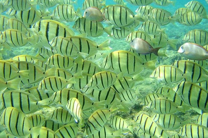 Pelican Rock Snorkeling and Sightseeing Adventure - A comfortable 30-foot boat for the ride out