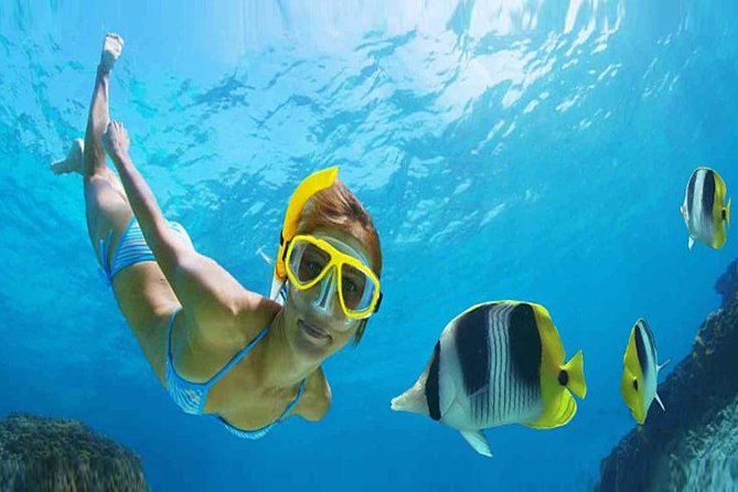 Private 3-Hour Snorkeling Tour with Arch Tour and Beach Time - A private start in Cabo San Lucas Marina