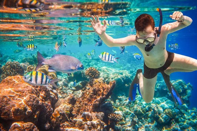 Private 3-Hour Snorkeling Tour with Arch Tour and Beach Time - Snorkeling at Pelican Rock