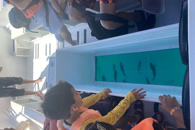 Private 3-Hour Snorkeling Tour with Arch Tour and Beach Time - Lover’s Beach and Divorce Beach