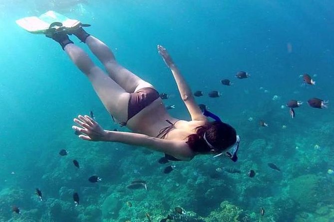 Private 3-Hour Snorkeling Tour with Arch Tour and Beach Time - Who will enjoy this Cabo snorkeling trip?