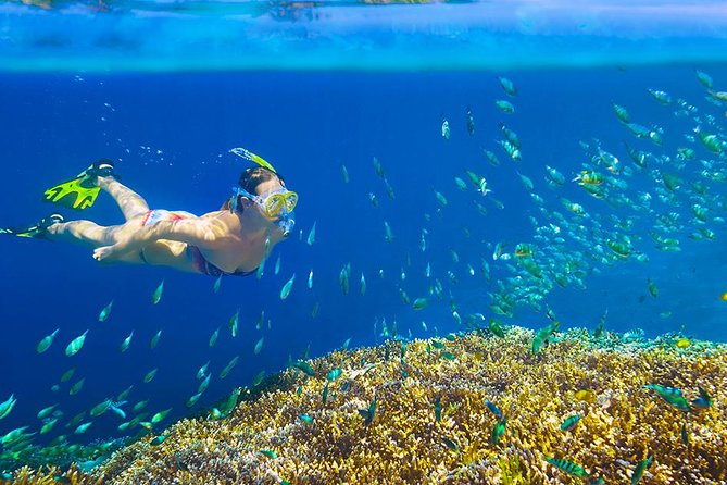 Private 3-Hour Snorkeling Tour with Arch Tour and Beach Time - Seeing the Arch from the water