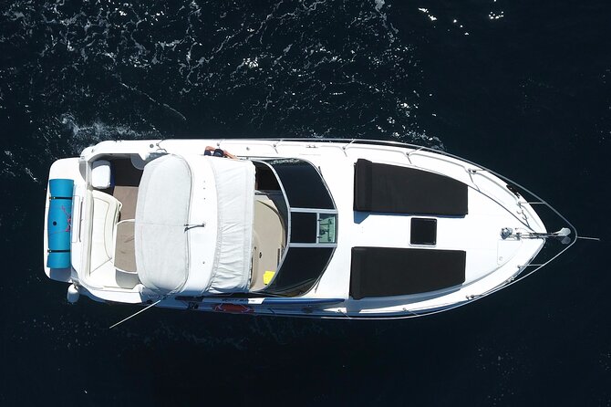 Private 3hr Yacht Cruise in Cabo San Lucas all included - The crew can shape the mood of the trip