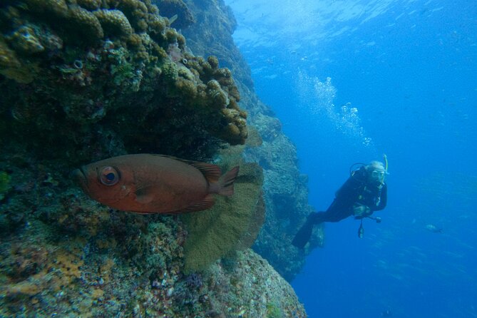 Private Beginner Scuba Diving Experience in Cabo San Lucas - El Arco gives the boat ride a memorable setting