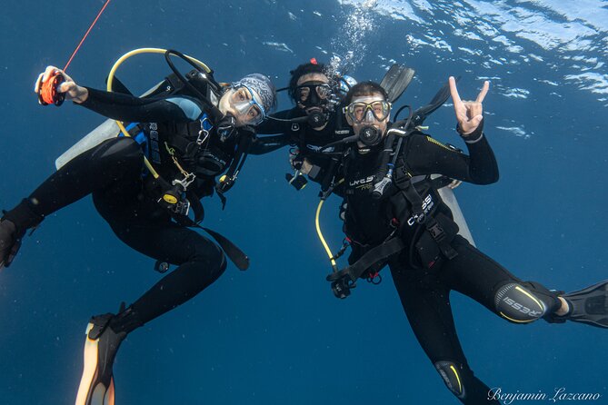 Private Beginner Scuba Diving Experience in Cabo San Lucas - Is $175 a fair price?