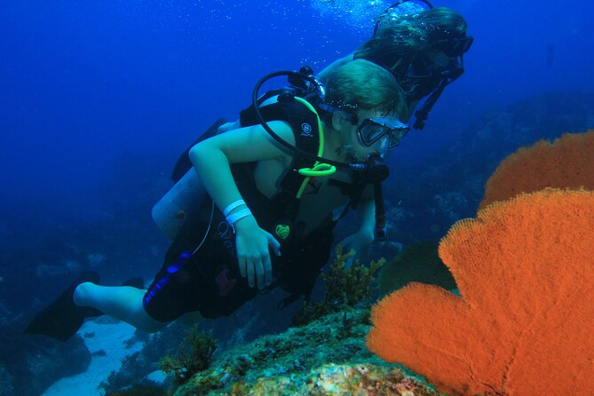 Private Beginner Scuba Diving Experience in Cabo San Lucas - What to bring and how to prepare