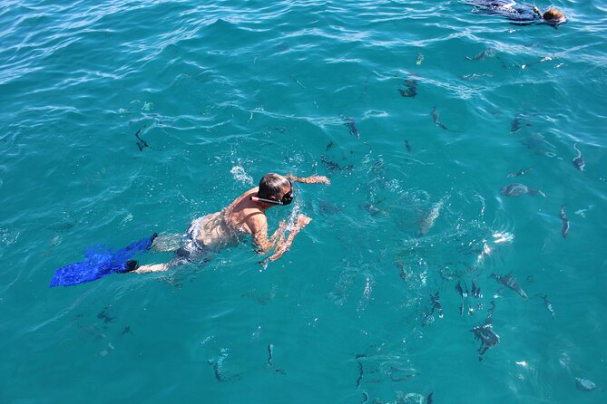 Private Cabo City Tour & Relaxing Beach Day Experience - One hour at Chileno Bay
