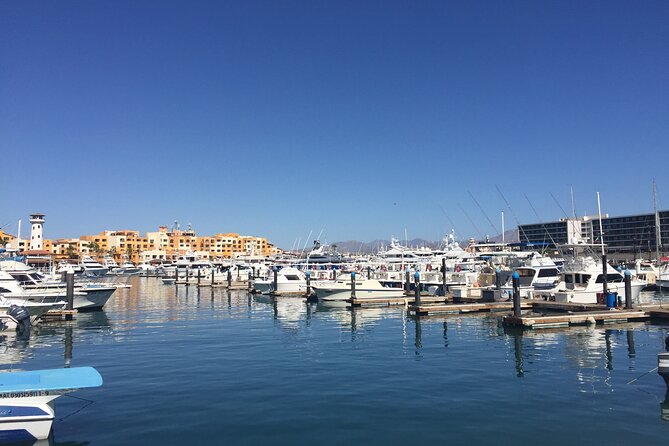 Private Cabo City Tour & Relaxing Beach Day Experience - What the private format really changes