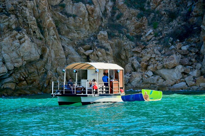 Private Catamaran Escape for 2–6 Guests: Celebrate Your Way - Wildlife: whales, turtles, rays, and sea lions