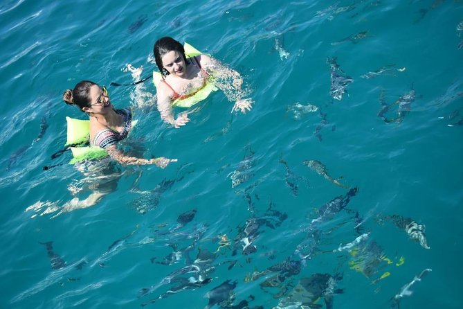 Private Catamaran Snorkeling Cruise in Los Cabos - Open bar, snacks, and the kind of service to expect