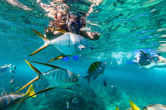 Private Day Trip to San José & Cabo San Lucas - Who should book this private day trip?