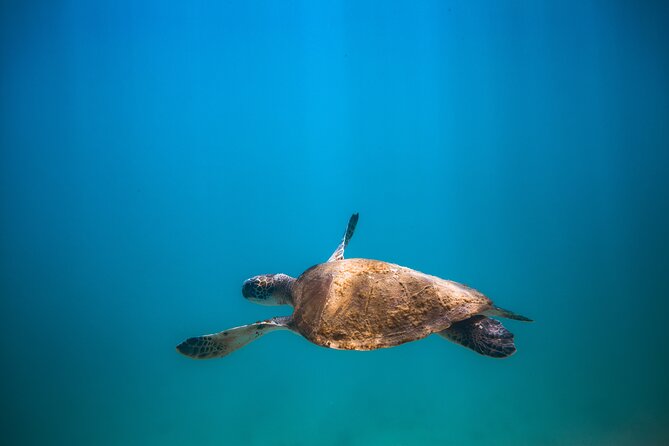 Private Dive Boat for Certified Divers - Cabo San Lucas - The five-minute ride to the first site