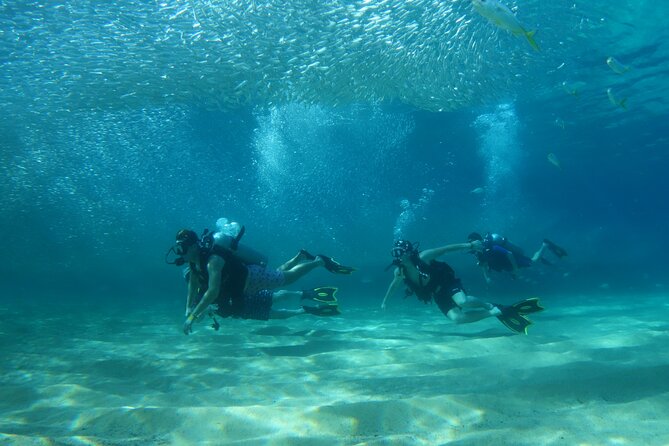 Private Dive Boat for Certified Divers - Cabo San Lucas - Check-in at Plaza Nautica