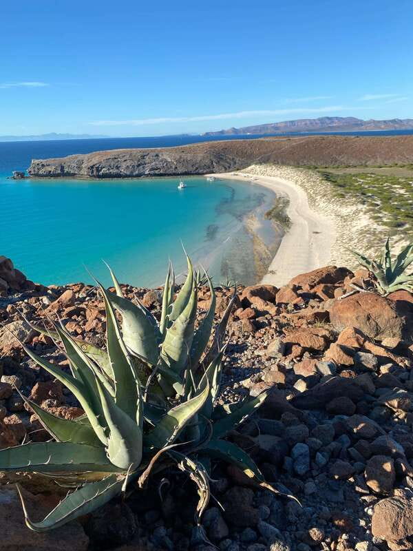 Private experience from Cabo San Lucas to La Paz: (Balandra beach) - Why this makes a good escape from Cabo