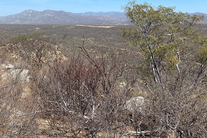 PRIVATE Fun Hiking Tour with Awesome Views - Weather, Cancellations, and Planning the Morning