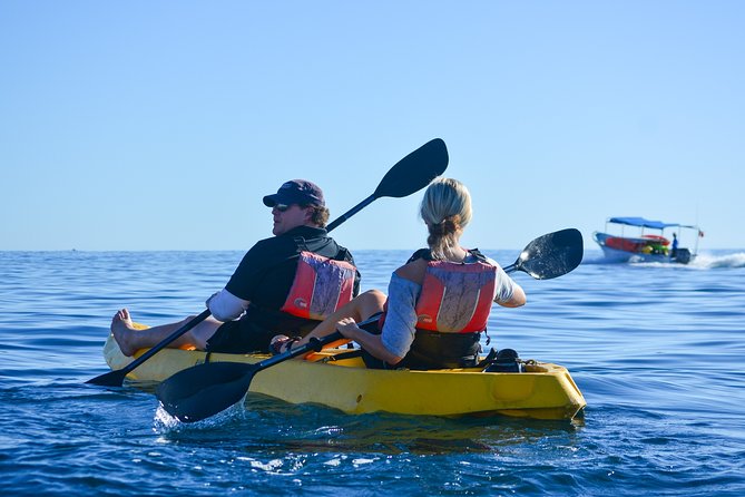 Private Glass bottom Kayak and snorkel at two Bays - Getting the most from the $130 price