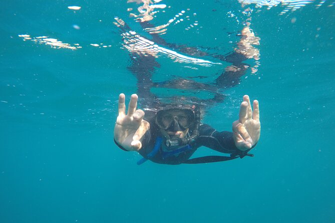 Private Guided Snorkeling in Cabo San Lucas - Underwater photos in a Google Drive link
