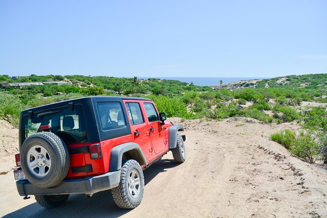 Private Jeep Tour Cabo Pulmo - A Mexican lunch in Miraflores
