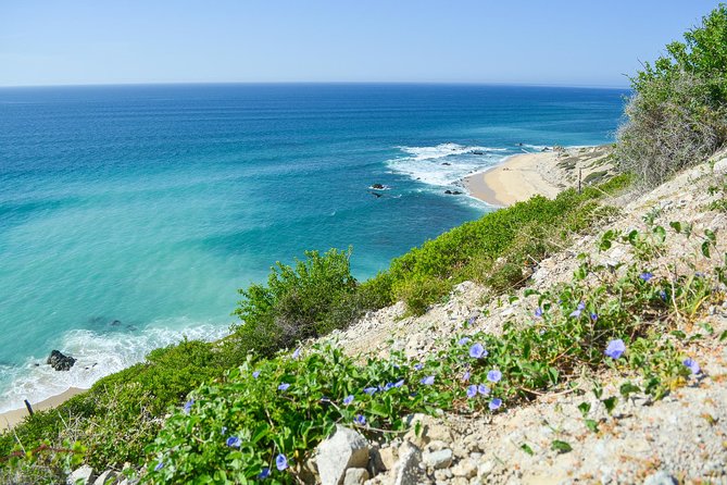 Private Jeep Tour Cabo Pulmo - The Tropic of Cancer stop