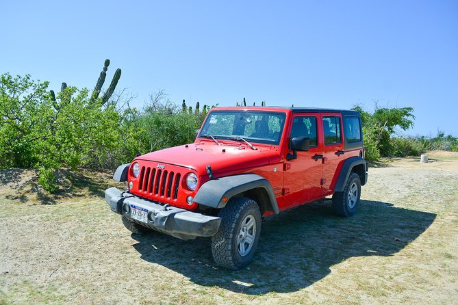 Private Jeep Tour Cabo Pulmo - The return along the Transpeninsular Highway