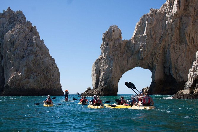 Private Los Cabos Arch & Playa del Amor tour by Glass bottom kayak - The private price and what you receive